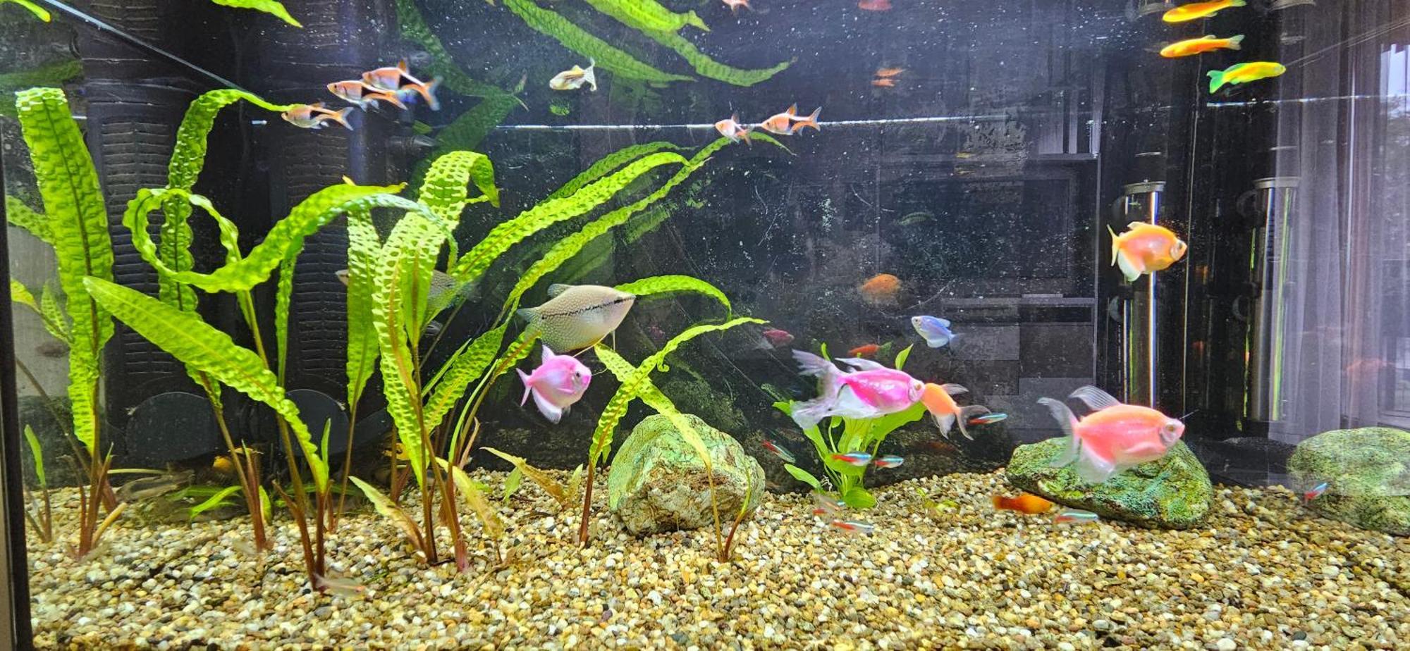Aquapartment Druskininkai